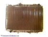 BLUE PRINT ADT39819 Radiator, engine cooling